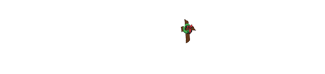 Abundant Outreach